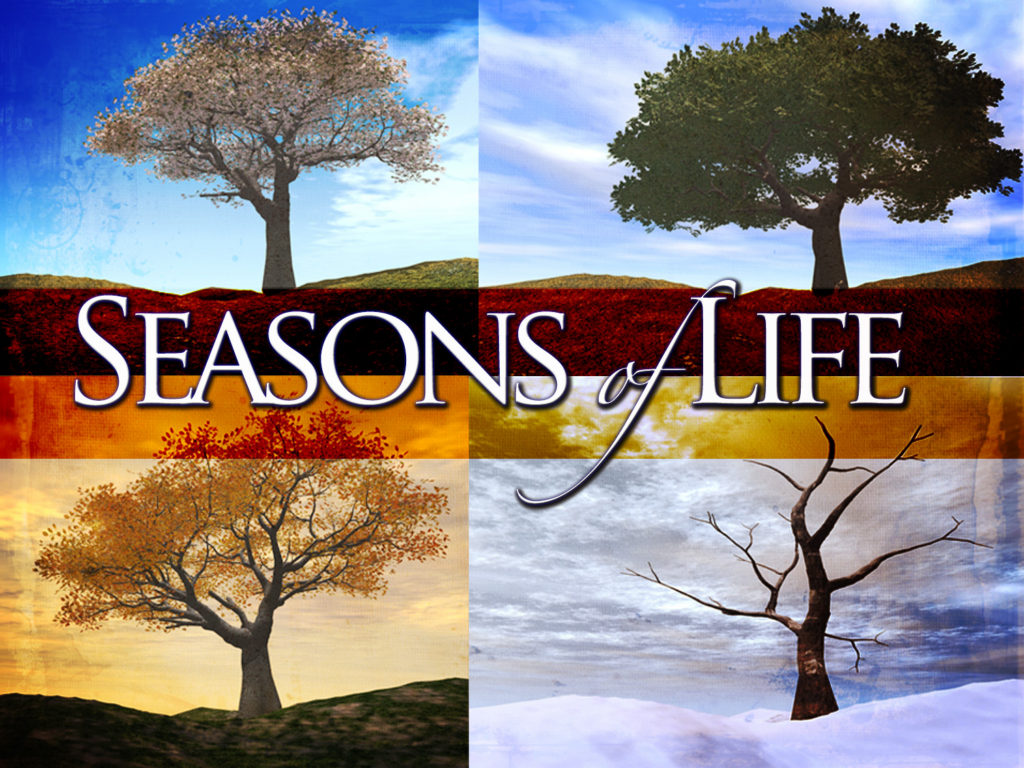 story of seasons a wonderful life non binary
